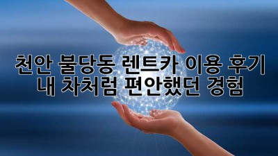 천안 불당동 렌트카 이용 후기: 내 차처럼 편안했던 경험!